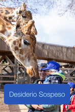 Carica l'immagine nel visualizzatore di Gallery, Soggiorno presso un parco a tema