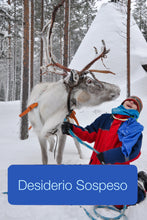 Carica l'immagine nel visualizzatore di Gallery, Soggiorno presso un parco a tema